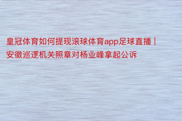 皇冠体育如何提现滚球体育app足球直播 | 安徽巡逻机关照章对杨业峰拿起公诉